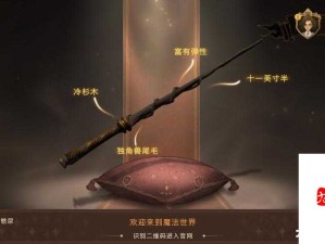 哈利波特：魔法觉醒接骨木魔杖获得攻略！新手必看的详细指南