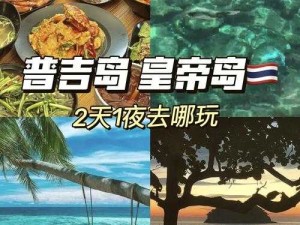 珊瑚岛去哪见酋长？详细地点介绍及攻略全解析