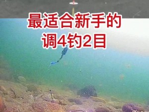 征服的荣耀围城怎么钓鱼？新手快速掌握详细技巧介绍