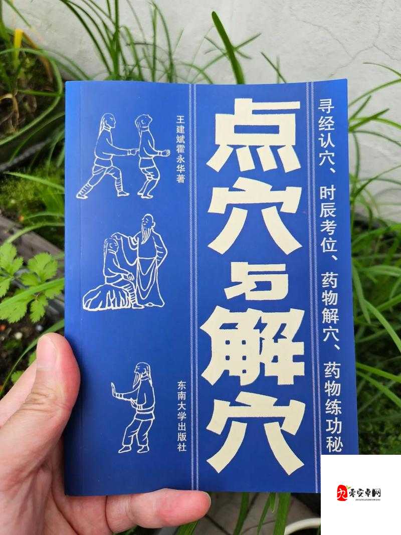 我来自江湖学习武功需要注意什么？武学注意事项分享