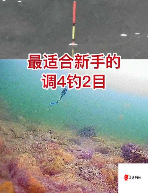 征服的荣耀围城怎么钓鱼？新手快速掌握详细技巧介绍