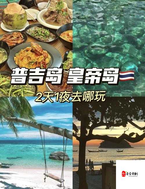 珊瑚岛去哪见酋长？详细地点介绍及攻略全解析