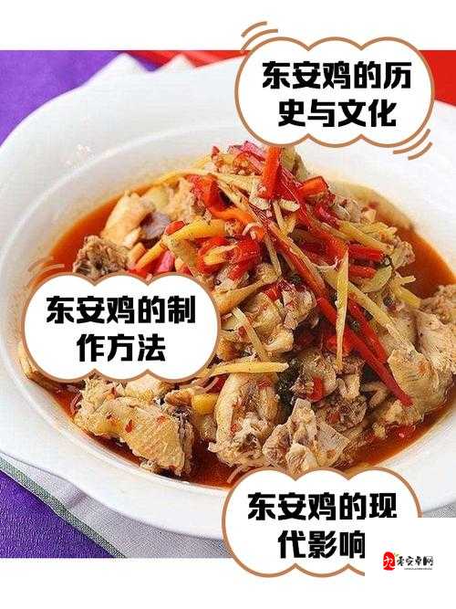 【舌尖上的江湖风味】东安子鸡秘制食谱配方，一试成主顾！