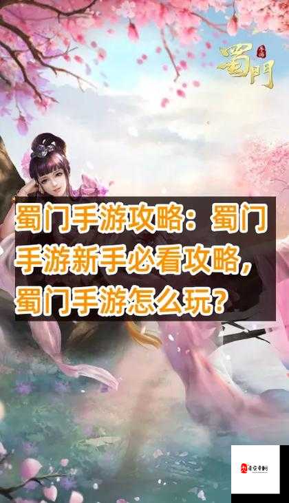 蜀门手游职业选择攻略！零基础必看，3分钟选对职业封神！